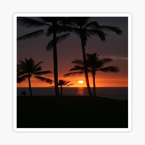 Le soleil couchant sur la plage Sticker