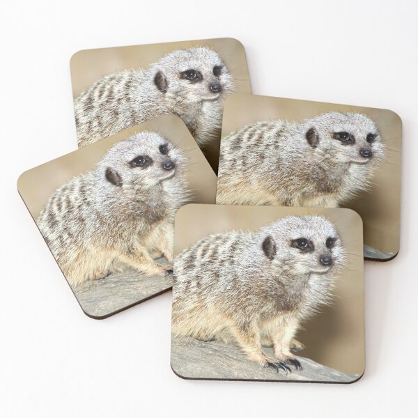 Item preview, Meerkat designed and sold by Carole-Anne.