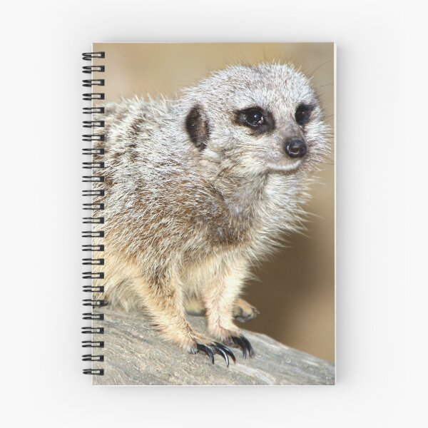 Item preview, Meerkat designed and sold by Carole-Anne.