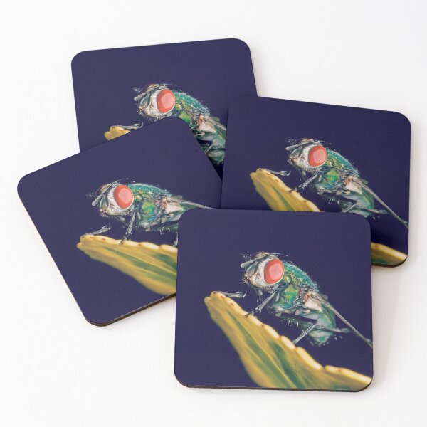 Item preview, Iridescent Fly designed and sold by Sophia Tierney.