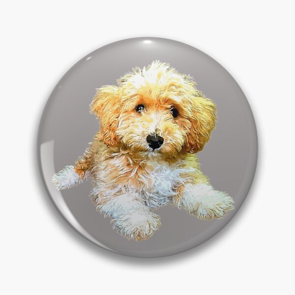 Item preview, Golden doodle labradoodle cavoodle cavapoo poodle mix designed and sold by ElegantCat.