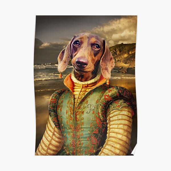 Dachshund Dog Portrait - Penny Poster