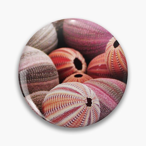 Item preview, Urchins designed and sold by ArtbyDaniel.