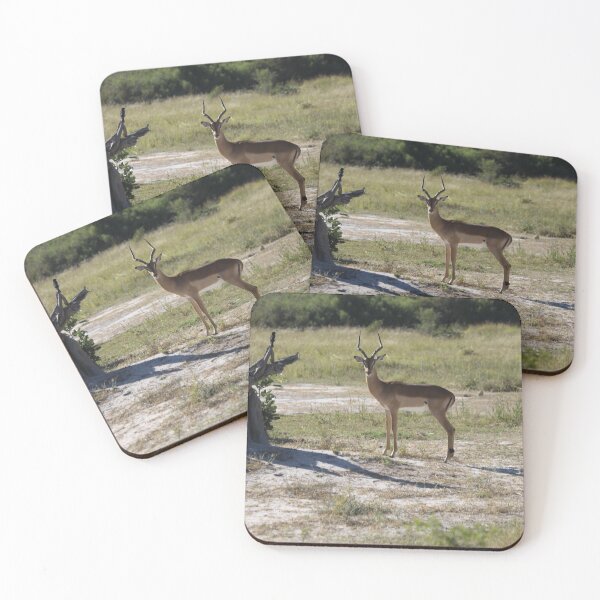 Item preview, Male impala and his bird friend designed and sold by EstelleRossetti.