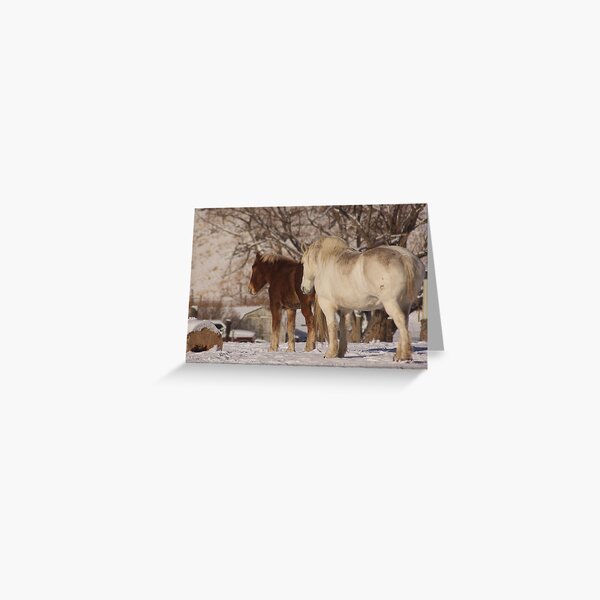 Lucky & Willow Greeting Card