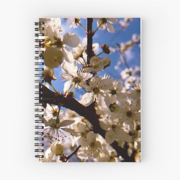 Item preview, it's just so simple designed and sold by Julia  Kovtunyak.