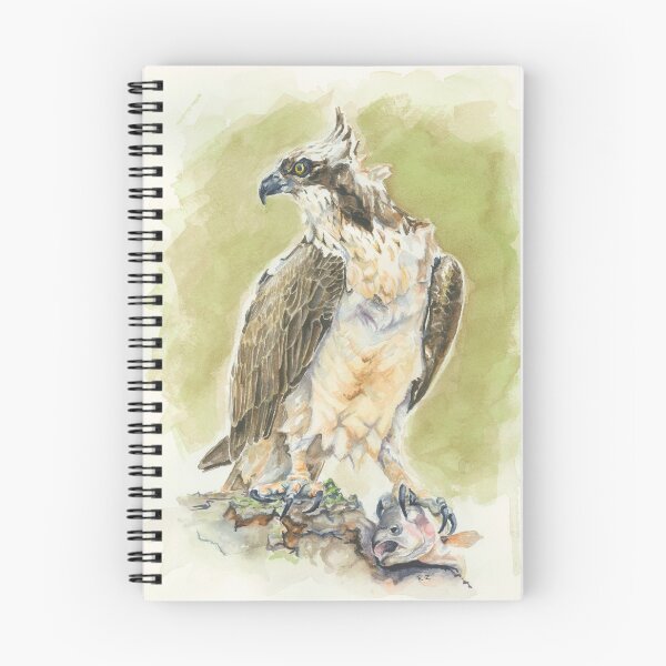 Item preview, Osprey with his Dinner designed and sold by artfulturkey.