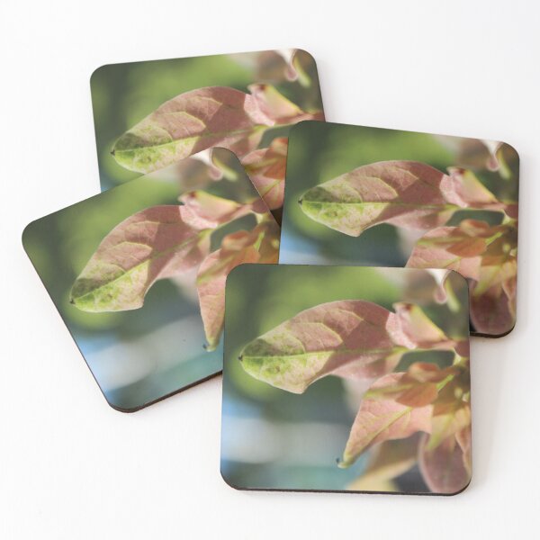 Item preview, Sunshine & MotherNature designed and sold by KaiydoRose.