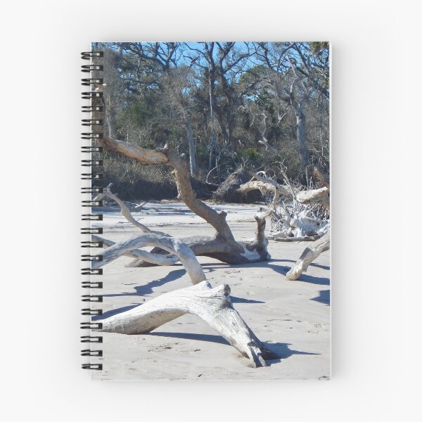 Item preview, Driftwood and Shadows Boneyard Beach designed and sold by richardbryce.
