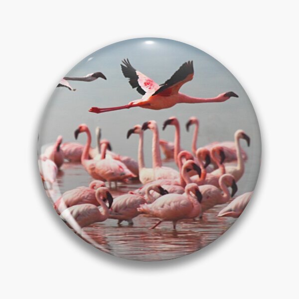 Item preview, Lesser Flamingos Flypast #1 designed and sold by Carole-Anne.