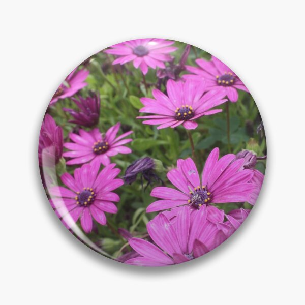 Item preview, Daisies Spring In All Their Splendor designed and sold by taiche.