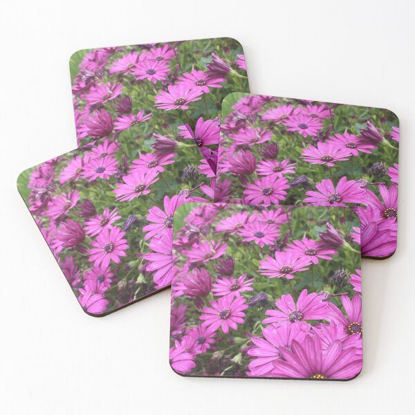 Item preview, Daisies Spring In All Their Splendor designed and sold by taiche.