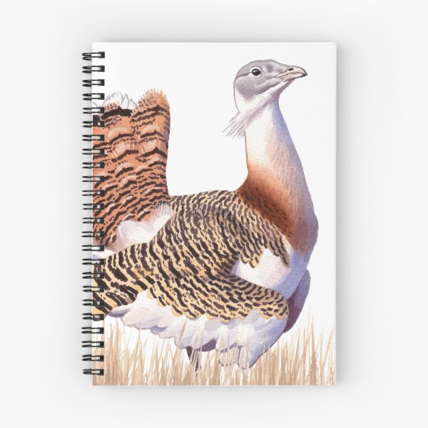 Item preview, Great Bustard designed and sold by kokayart.