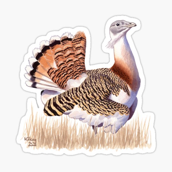 Great Bustard Sticker
