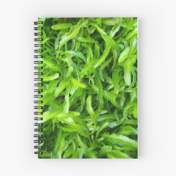 Item preview, small greeny leaves designed and sold by induwara27.