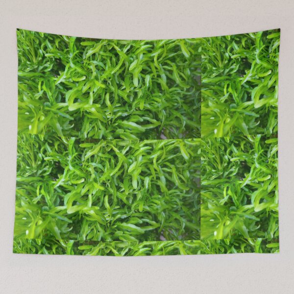 Item preview, small greeny leaves designed and sold by induwara27.