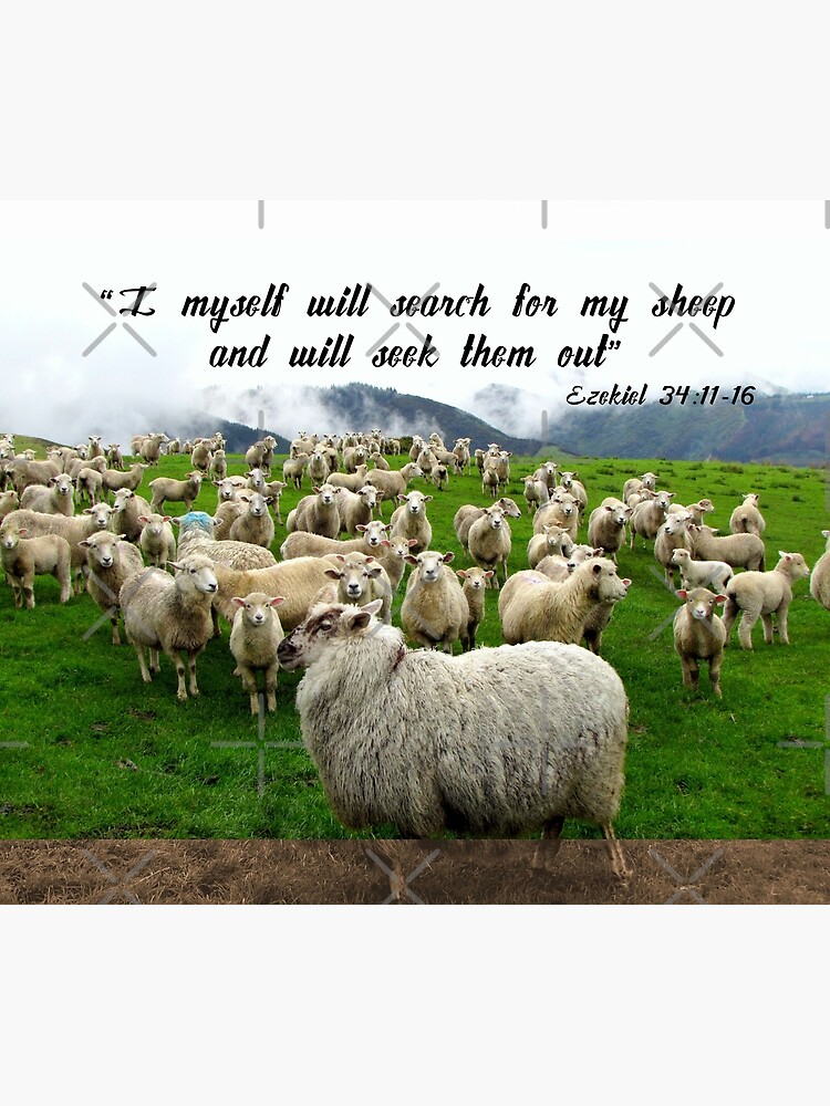 bible-christian-quote-i-myself-will-search-for-my-sheep-ezekiel-34