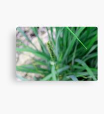 Greenery Canvas Print