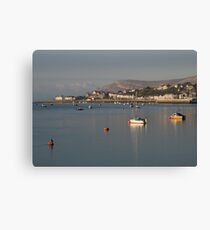 Conwy Estuary Canvas Print