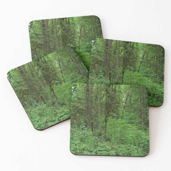 Item preview, In the Woods I designed and sold by Toadn2princess.