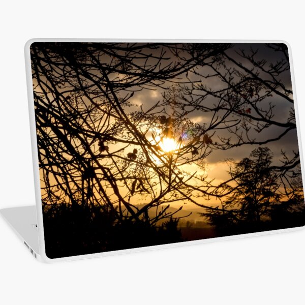 Sunset Silhouette Hydrangea Flowers Laptop Skin