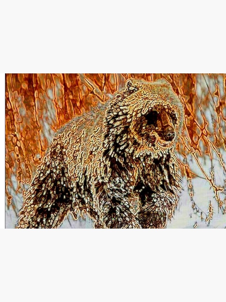 GRIZZLY BEAR by michaeltodd