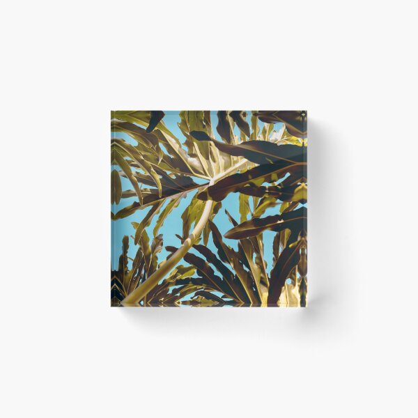 Item preview, Leaves on a blue sky designed and sold by ZazasDesigns.