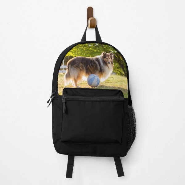 Item preview, Sunshine Collie designed and sold by KarenWoodArt.