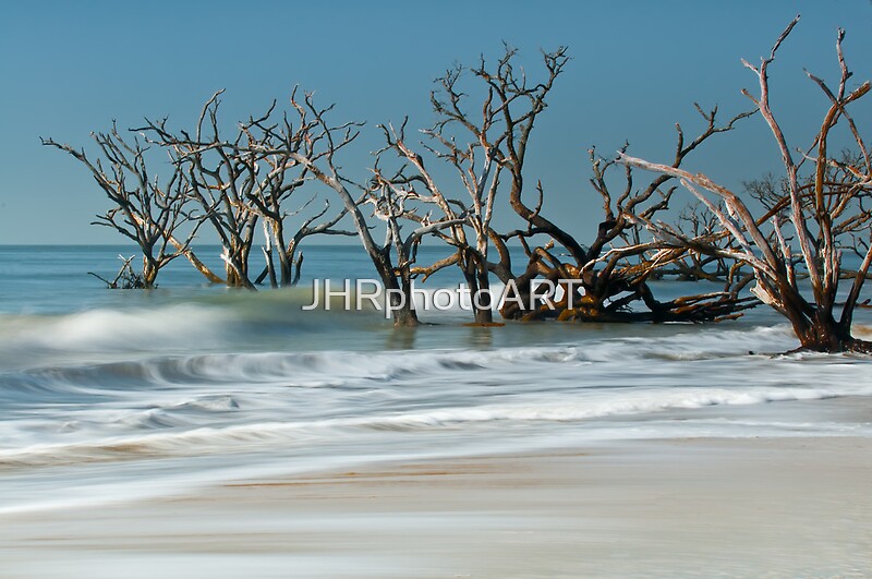 buddhist single men in edisto island Finally, a place for single buddhists to connect with like-minded people & find a long-lasting relationship start buddhist dating with elitesingles today. buddhist single men in edisto island Finally, a place for single buddhists to connect with like-minded people & find a long-lasting relationship start buddhist dating with elitesingles today.