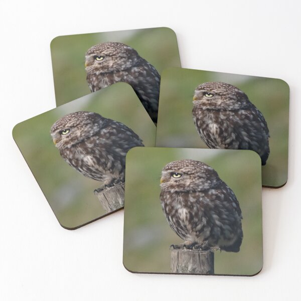 Item preview, little owl designed and sold by tammy mellor.
