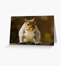 Fat 'N Sassy Smile Greeting Card
