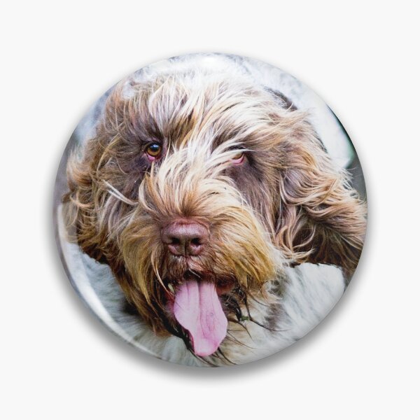Item preview, Spinoni And German Wirehaired Pointer Woodland Adventure by heidiannemorris designed and sold by FOLK ART FUSION by heidiannemorris.