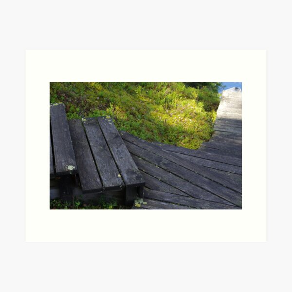 Steps Down to the Lake Art Print