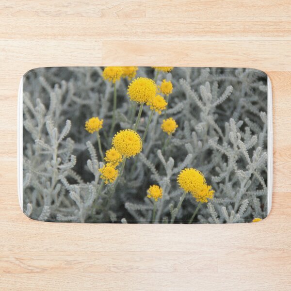 Item preview, Cotton lavender medicinal silver herb garden	 designed and sold by EstelleRossetti.