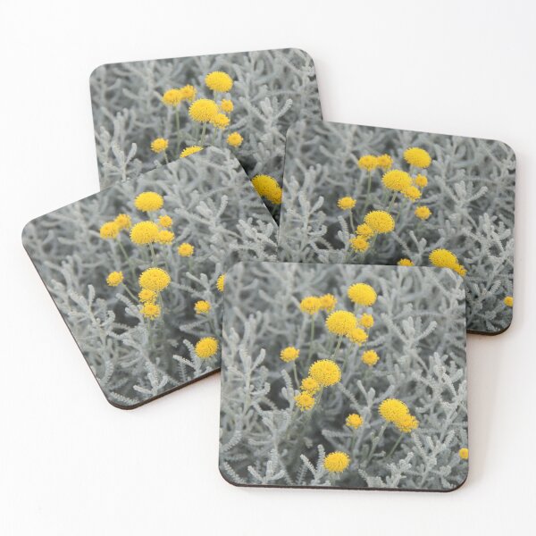 Item preview, Cotton lavender medicinal silver herb garden	 designed and sold by EstelleRossetti.