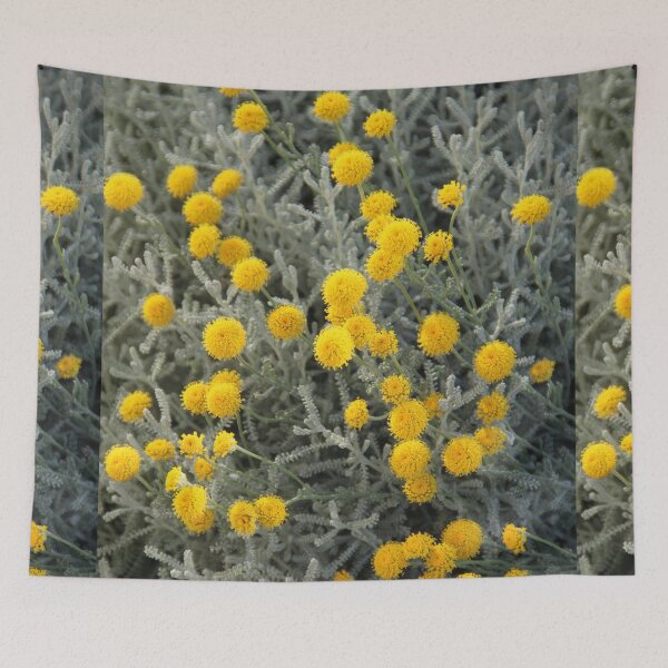 Item preview, Cotton lavender medicinal silver herb garden	 designed and sold by EstelleRossetti.