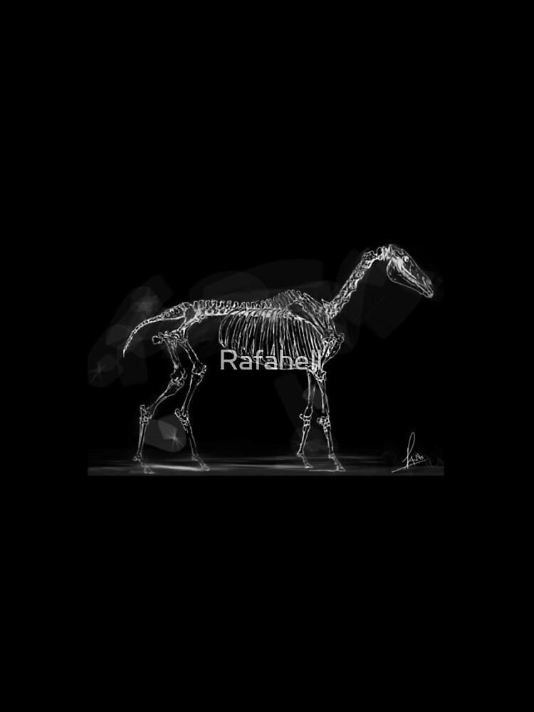 Thumbnail 4 of 4, Samsung Galaxy Phone Case, Horse skeleton designed and sold by Rafahell.