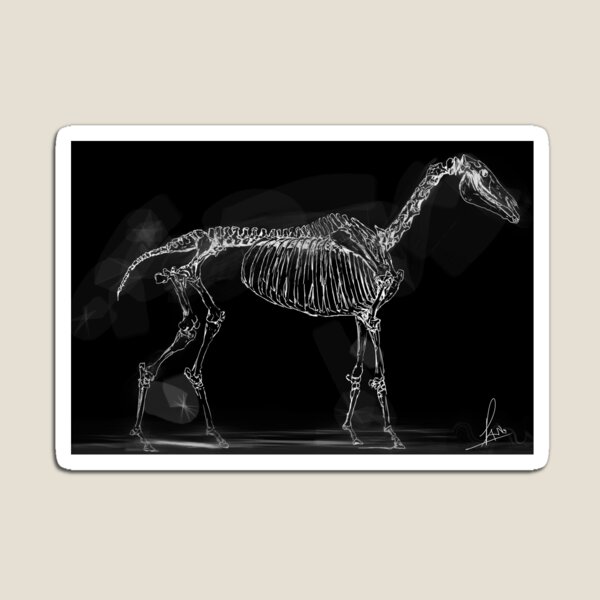 Item preview, Horse skeleton designed and sold by Rafahell.
