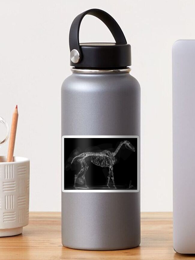 Thumbnail 1 of 3, Sticker, Horse skeleton designed and sold by Rafahell.