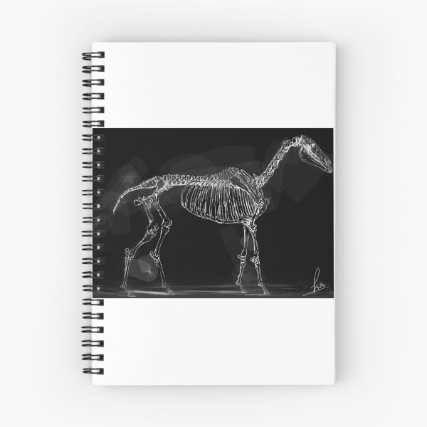 Item preview, Horse skeleton designed and sold by Rafahell.