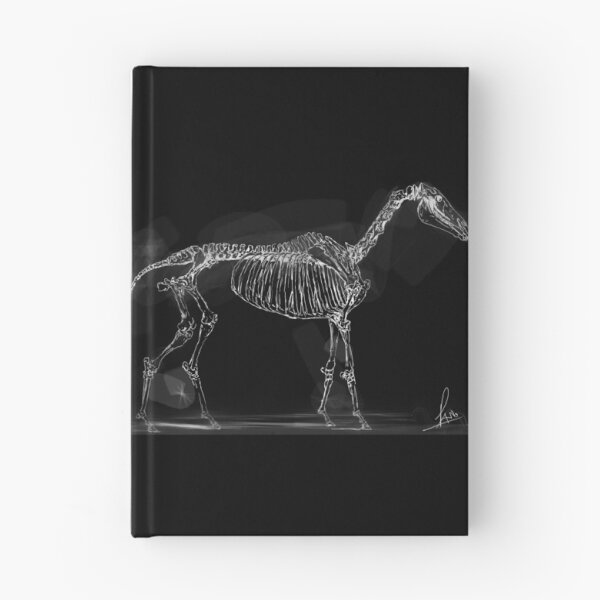Item preview, Horse skeleton designed and sold by Rafahell.