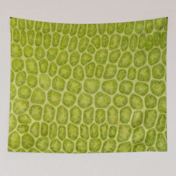 Item preview,  Moss leaf microscope photo - plant cells designed and sold by SciArtImages.