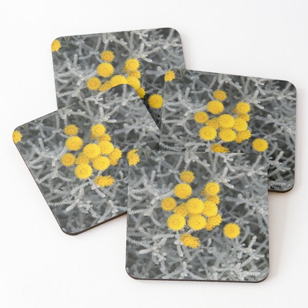 Item preview, Cotton lavender medicinal silver herb garden	 designed and sold by EstelleRossetti.