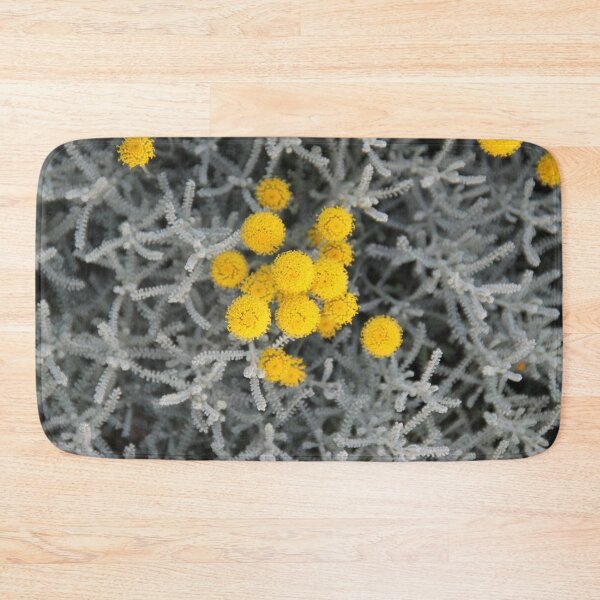 Item preview, Cotton lavender medicinal silver herb garden	 designed and sold by EstelleRossetti.