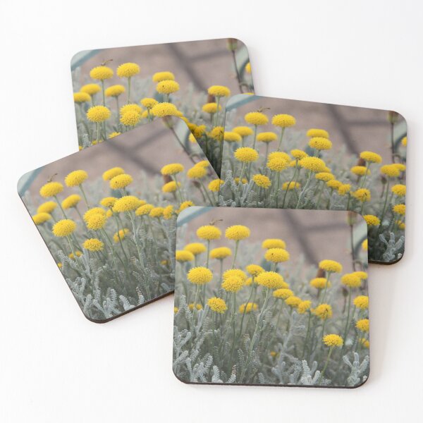 Item preview, Cotton lavender medicinal silver herb garden	 designed and sold by EstelleRossetti.