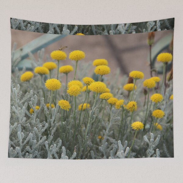 Item preview, Cotton lavender medicinal silver herb garden	 designed and sold by EstelleRossetti.