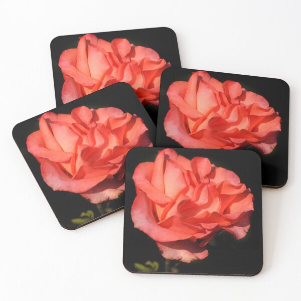Item preview, Beautiful rose on black background designed and sold by olena2552.