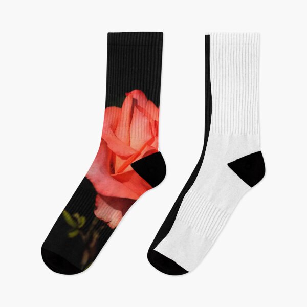 Item preview, Beautiful rose on black background designed and sold by olena2552.