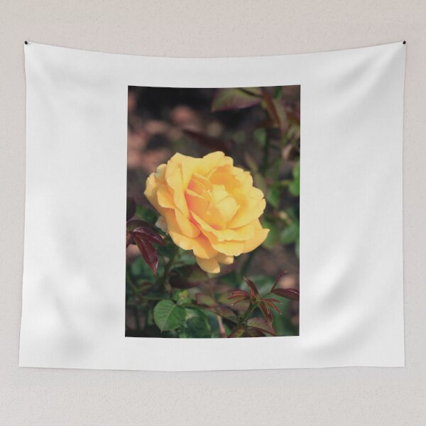 Item preview, Yellow rose on nature background designed and sold by olena2552.