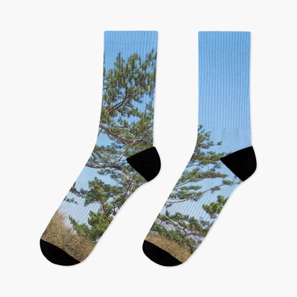 Item preview,  Gyeongbokgung palace nature, Seoul South Korea designed and sold by WanderlustBunny.